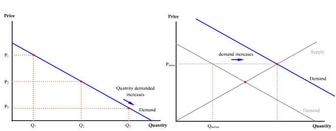 Shift In Demand Curve Vs Change In Quantity Demanded